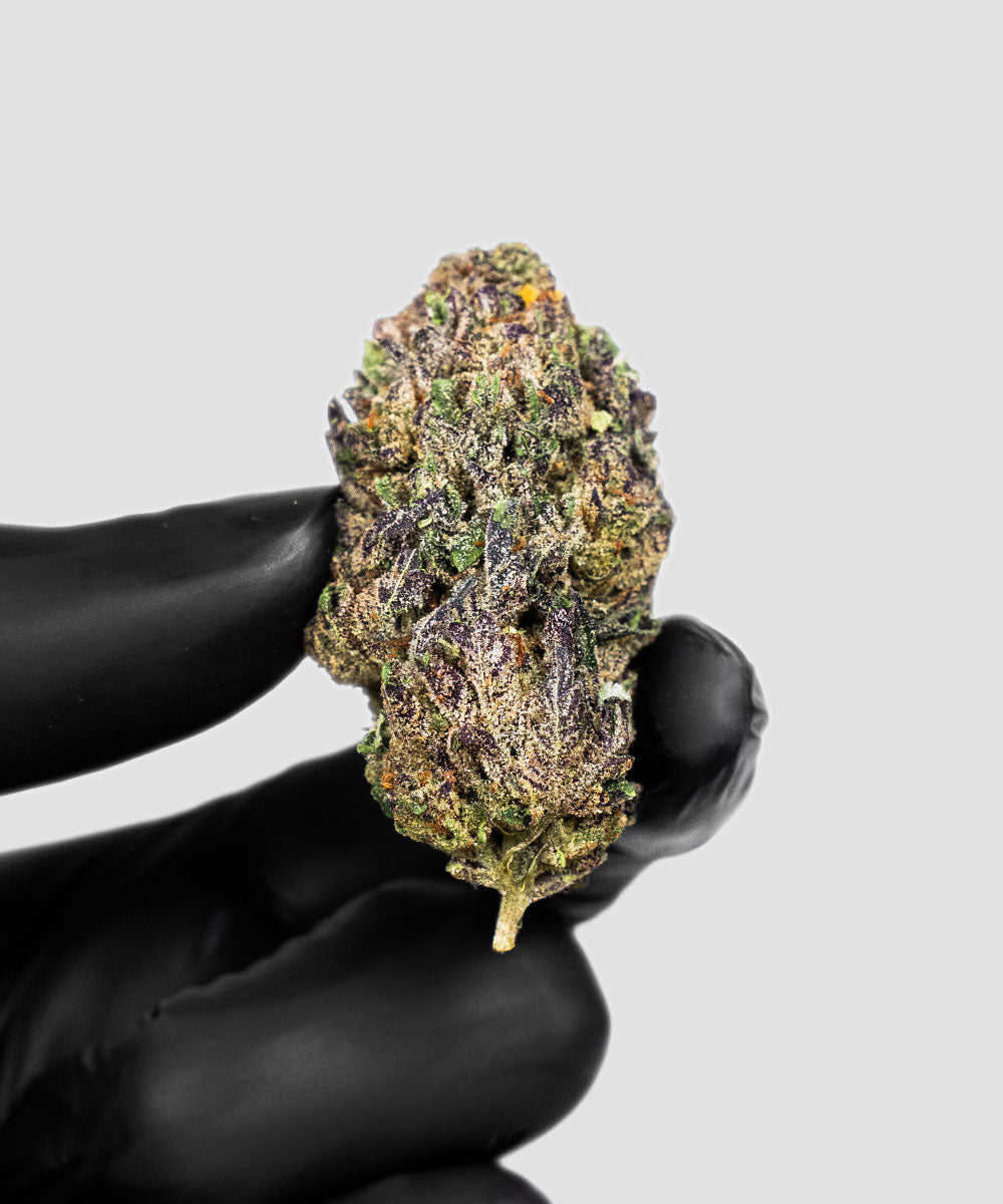 IMPERIAL THC-A EXOTIC FLOWER FAKIES 3.5G – ICY POP SATIVA - Seven Tech