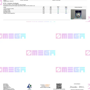 Medical test report or lab results document with QA Testing header.